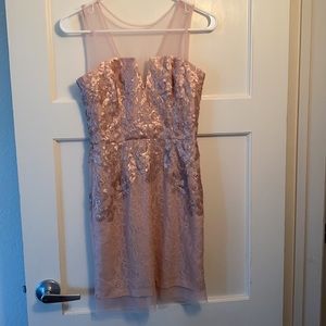 BCBG Maxazria blush pink sequined dress